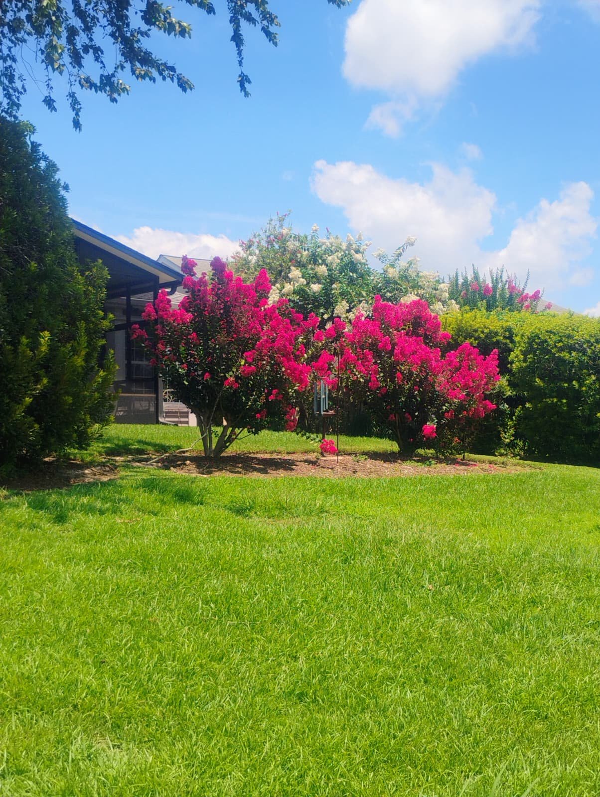 Clean lawn care and landscaping work